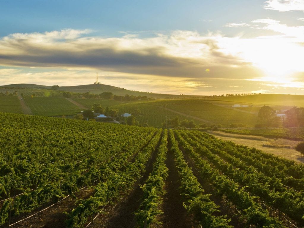 Local Attractions Bungaree Station Clare Valley