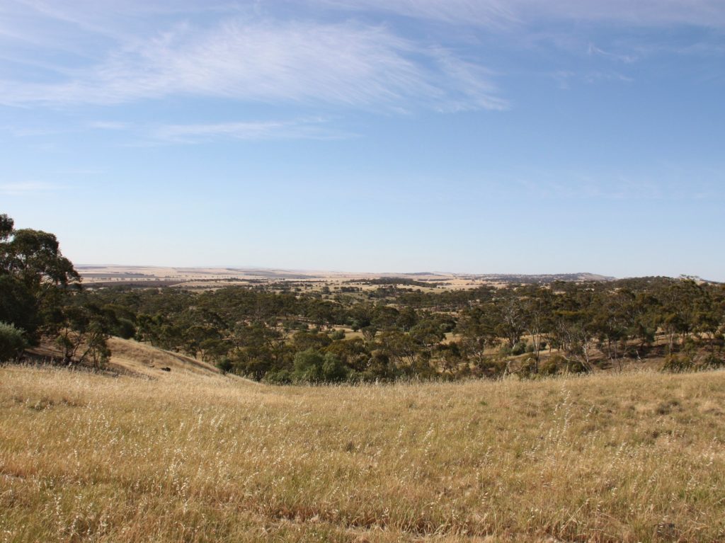 Location | Bungaree Station Clare Valley