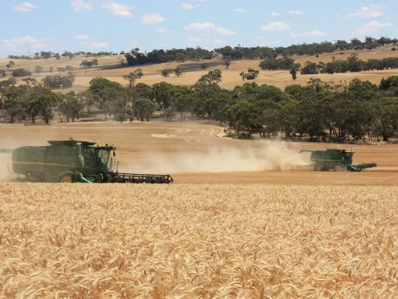 Harvest at Bungaree