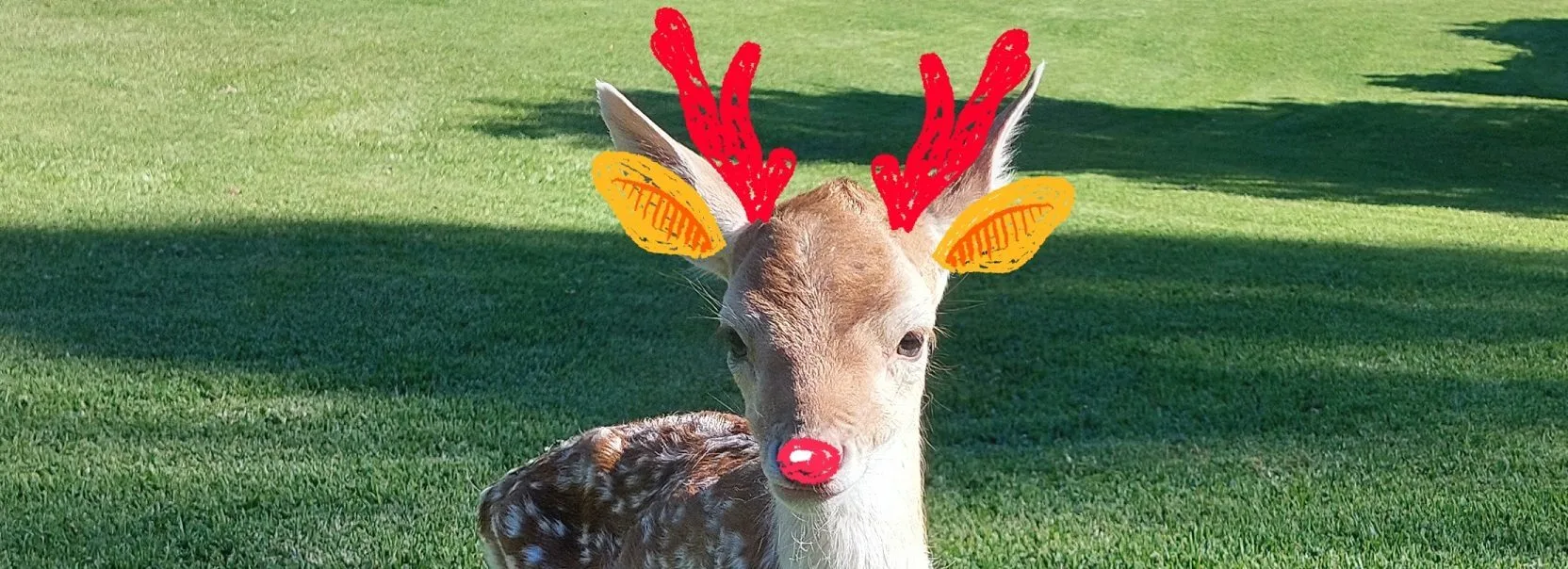 Christmas closure at Bungaree